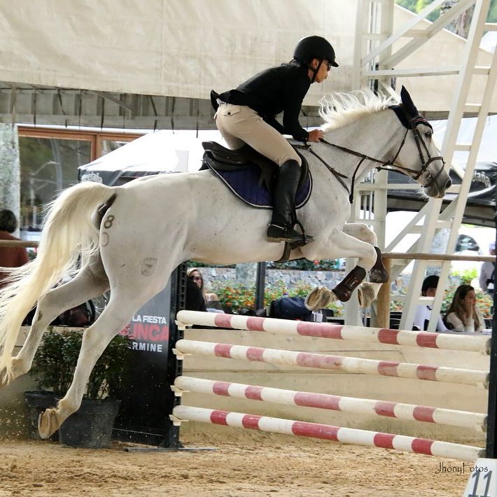 Salto Ecuestre